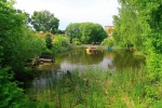 img_5474.jpg