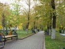 p1010127.jpg