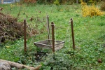 dsc06687.jpg